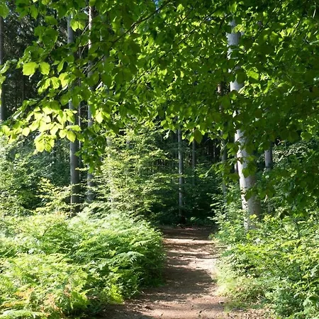 Itm Bettkaestchen Am Sachsenwald 2* ראינבק