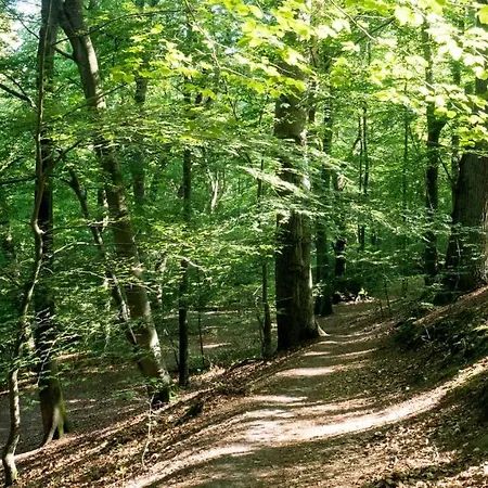 Itm Bettkaestchen Am Sachsenwald 2*