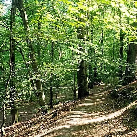 Itm Bettkaestchen Am Sachsenwald ראינבק