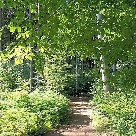 מלון Itm Bettkaestchen Am Sachsenwald ראינבק