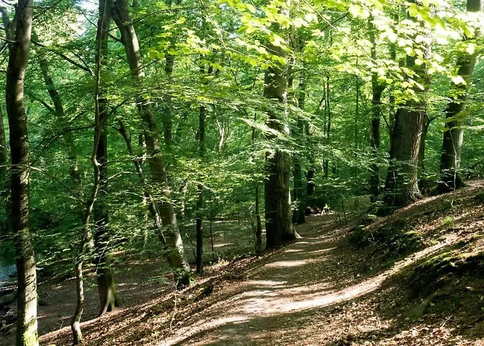 Itm Bettkaestchen Am Sachsenwald 2*